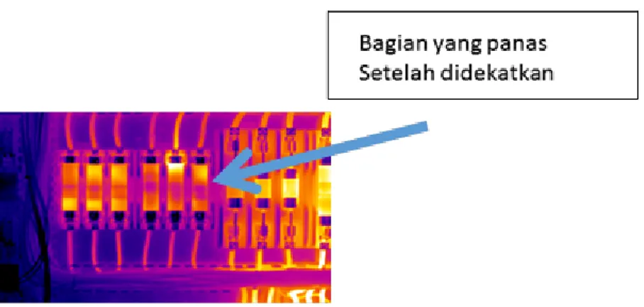 Gambar 4. Sampel objek yang menjadi titik focu diagnosa thermografi infrared