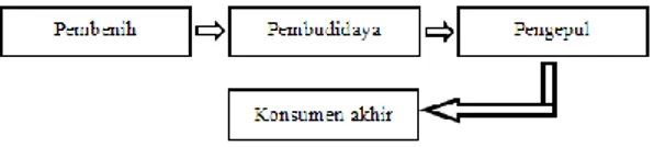 Tabel 1. Perbandingan Pendapatan Pelaku Rantai Nilai Ikan Lele   Dalam 1 Periode Produksi di Kabupaten Sleman 