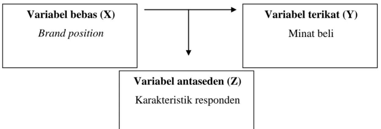 Gambar 1  Model teoritis 