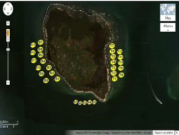 Gambar 1 Sebaran stasiun pengamatan komunitas lamun di Pulau Rambut (Sumber: google map) 