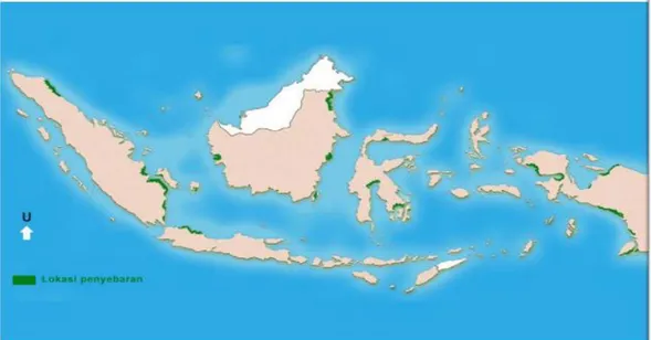 Gambar 2.3  Peta Penyebaran Mangrove di Indonesia 