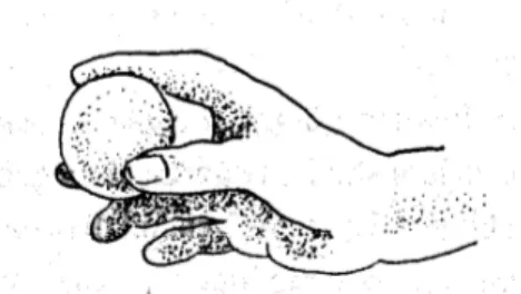 Gambar 2. Memegang bola dengan tiga jari 