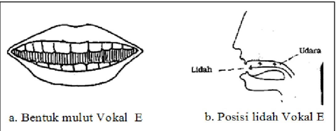 Gambar 2. Bentuk mulut Vokal  E dan Posisi lidah Vokal E.  