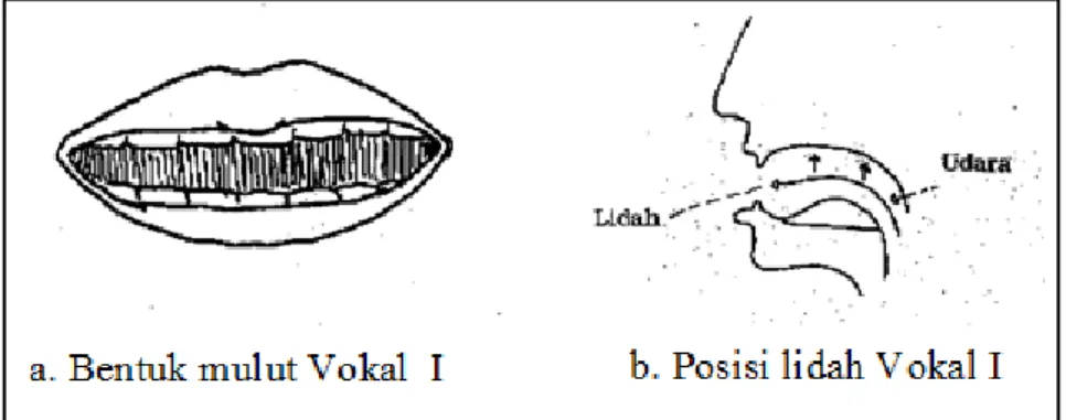 Gambar 3. Bentuk mulut Vokal  I dan Posisi lidah Vokal I   (Soewito, 1996: 18) 