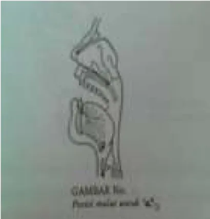 Gambar 2.1.3 Posisi mulut untuk “a” 