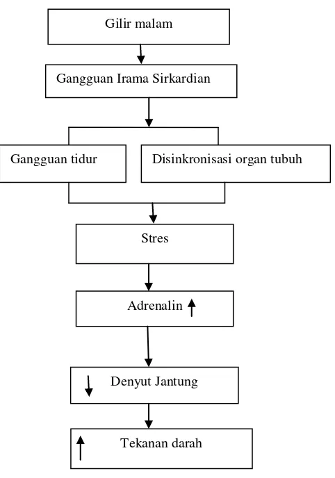 Gambar 1. Kerangka Teori 