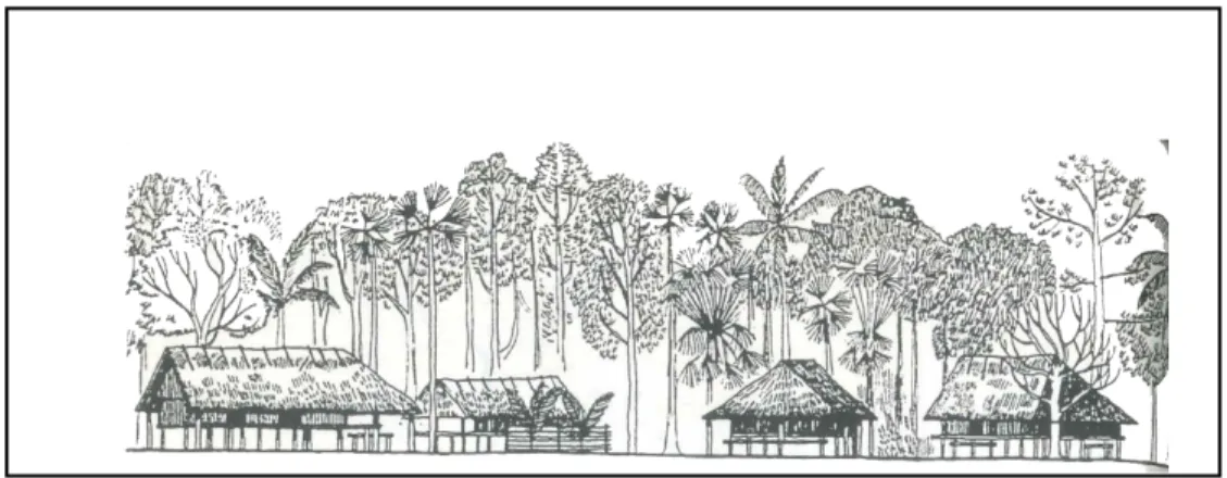 Gambar 3.5 Sketsa tampak permukiman Viqueque  Sumber : Arquitectura Timorense, Ruy Cinatti, 1987, h.162 