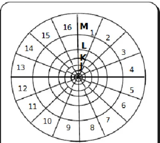 Gambar 2.10 Hammer Chart yang digunakan dalam koreksi medan 