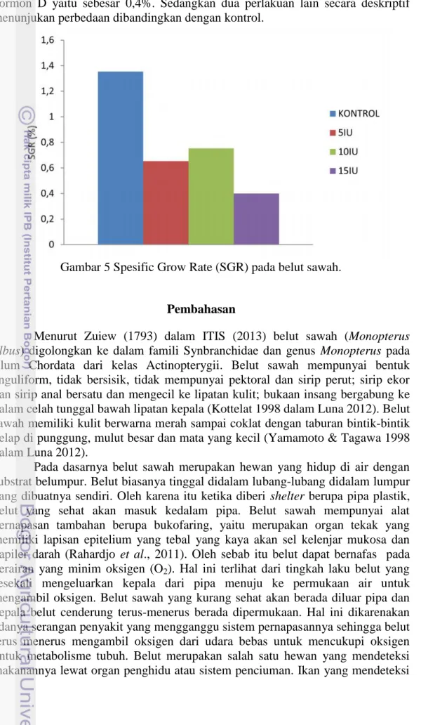 Gambar 5 Spesific Grow Rate (SGR) pada belut sawah.