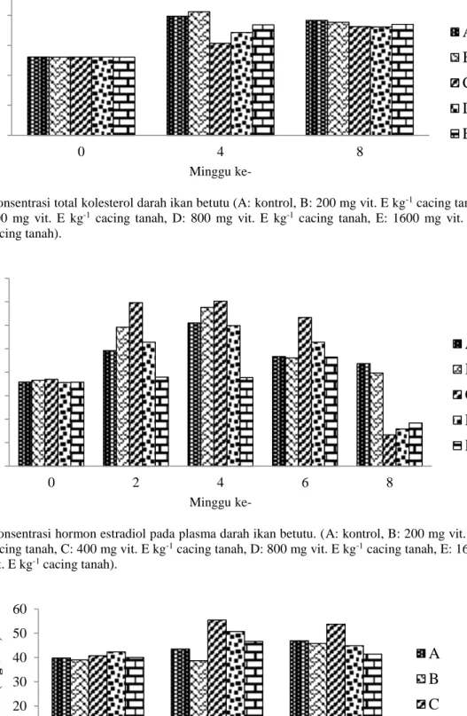 Gambar 1. Konsentrasi total kolesterol darah ikan betutu (A: kontrol, B: 200 mg vit. E kg -1  cacing tanah, C: 