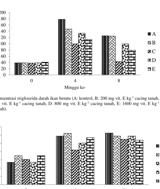 Gambar 4. Konsentrasi trigliserida darah ikan betutu (A: kontrol, B: 200 mg vit. E kg -1  cacing tanah, C: 400  mg vit