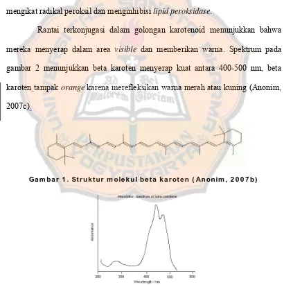 gambar 2 menunjukkan beta karoten menyerap kuat antara 400-500 nm, beta 