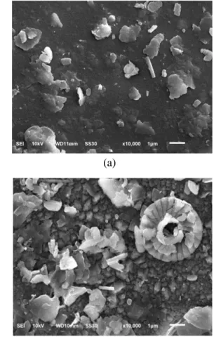 Gambar 1. Hasil micrograph lempung sebelum  diakivasi (a) dan sesudah diaktivasi (b)  Hasil micrograph pada Gambar 1 (a) dan (b),  menunjukan  bahwa  porositas  lempung  sebelum  aktivasi  relatif  kecil  dibandingkan  dengan  porositas  lempung  sesudah  
