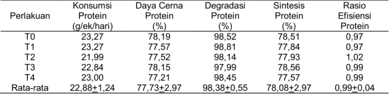 Tabel 5. Rata-rata Konsumsi Protein Ransum, Daya Cerna Protein, Degradasi dan                                   Sintesis Protein, serta Rasio Efisiensi Protein 
