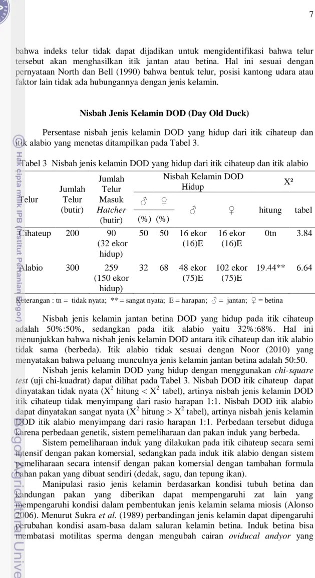 Tabel 3  Nisbah jenis kelamin DOD yang hidup dari itik cihateup dan itik alabio 