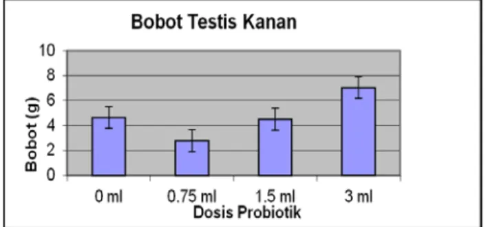 Gambar 1. Rerata (±SD) bobot testis kanan itik lokal (Anas  platyrhynchos) pasca 30 hari diberi suplementasi probiotik 