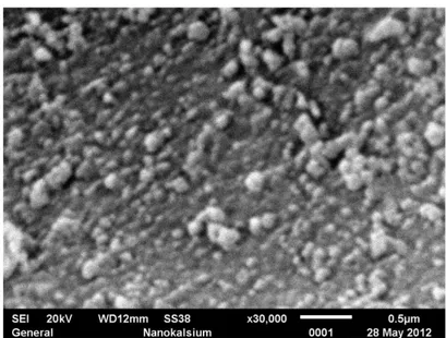 Gambar 8 Hasil Scanning Electron Microscopy nanokalsium  perbesaran 30.000x 