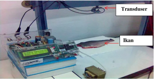 Gambar 1. Konfigurasi pengukuran tingkat kesegaran ikan. 