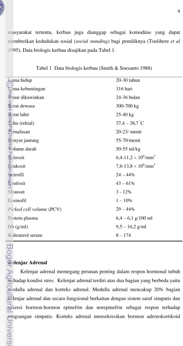 Tabel 1  Data biologis kerbau (Smith &amp; Soesanto 1988) 