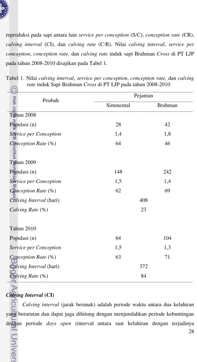 Tabel 1. Nilai calving interval, service per conception, conception rate, dan calving  rate induk Sapi Brahman Cross di PT LJP pada tahun 2008-2010 