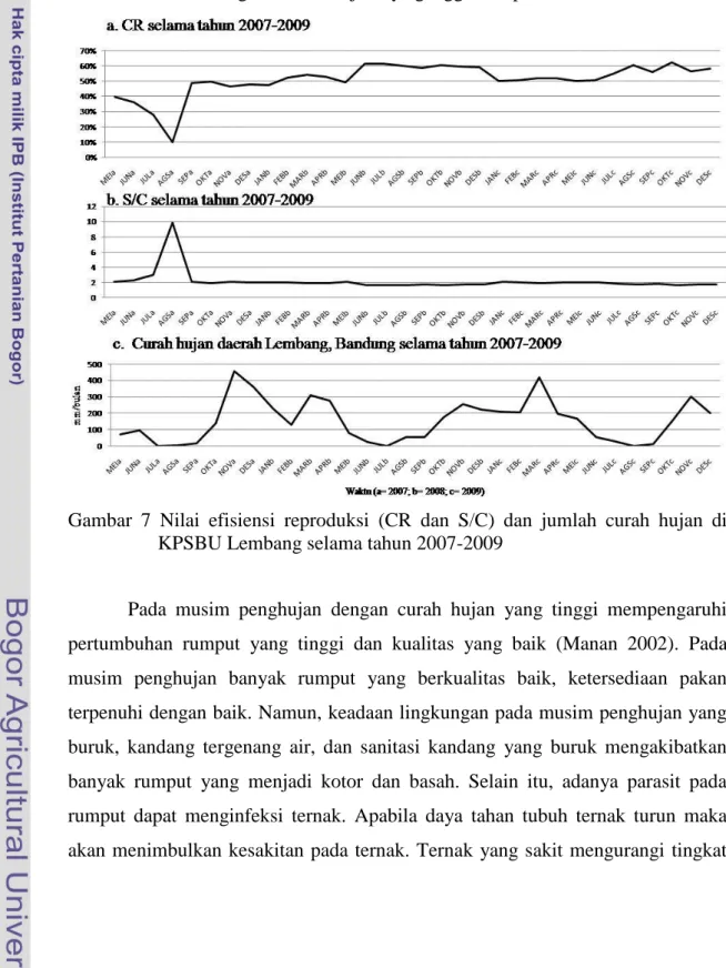 Gambar  7  Nilai  efisiensi  reproduksi  (CR  dan  S/C)  dan  jumlah  curah  hujan  di  KPSBU Lembang selama tahun 2007-2009 