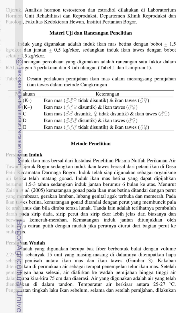 Tabel 1  Desain perlakuan pemijahan ikan mas dalam merangsang pemijahan  ikan tawes dalam metode Cangkringan 