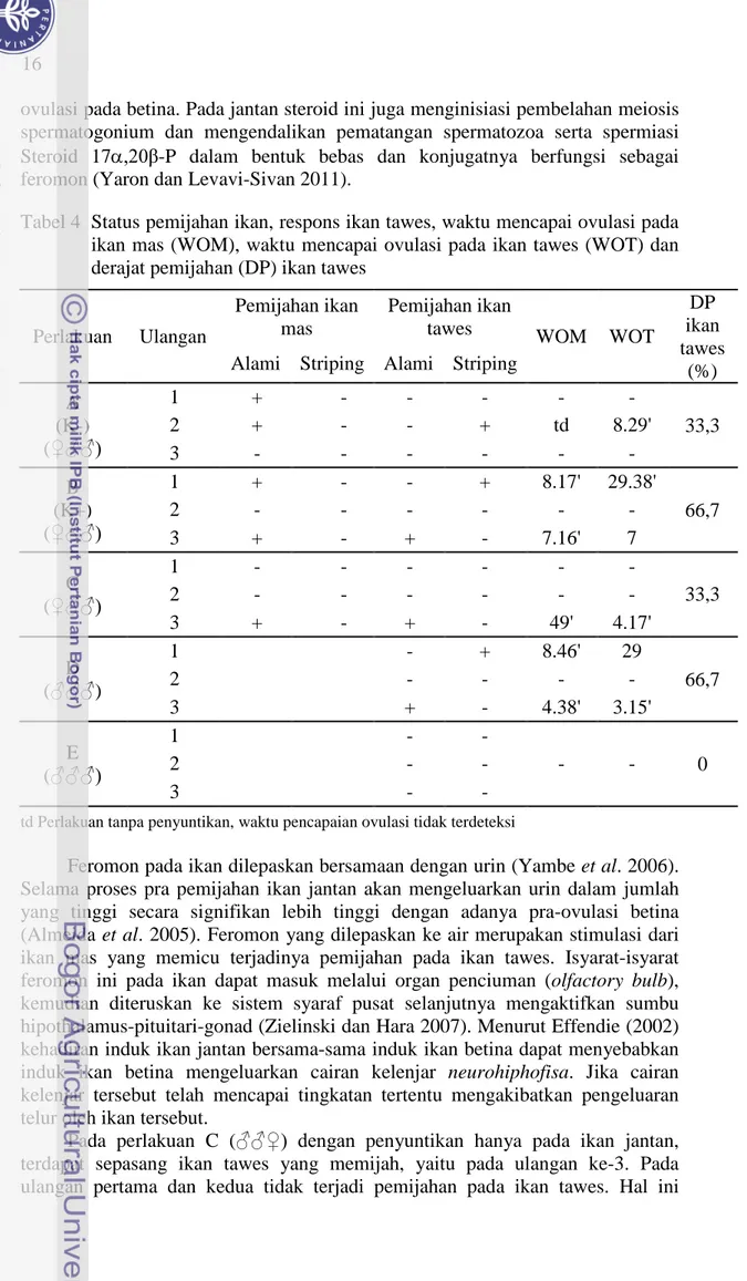 Tabel 4  Status pemijahan ikan, respons ikan tawes, waktu mencapai ovulasi pada  ikan mas (WOM), waktu mencapai ovulasi pada ikan tawes (WOT) dan  derajat pemijahan (DP) ikan tawes 