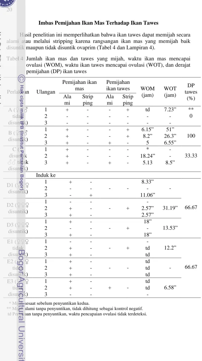 Tabel 4  Jumlah  ikan mas dan tawes yang mijah, waktu ikan mas mencapai  ovulasi (WOM), waktu ikan tawes mencapai ovulasi (WOT), dan derajat  pemijahan (DP) ikan tawes 