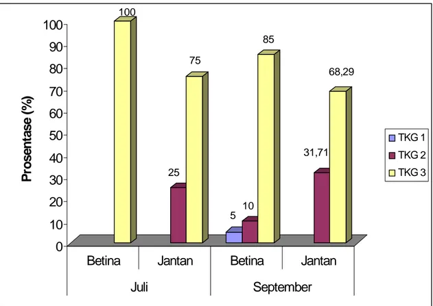 Gambar 3. Persentase tingkat kematangan gonad cakalang yang di daratkan di Bitung, pada bulan Juli dan September 2005.