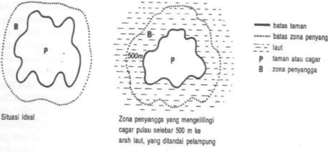 Gambar 2.  Contoh zona penyangga untuk taman dan cagar (IUCN 1990). 