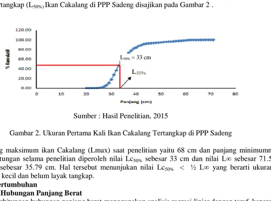 Gambar 2. Ukuran Pertama Kali Ikan Cakalang Tertangkap di PPP Sadeng 