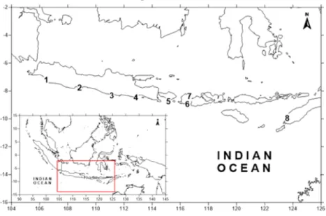 Gambar 1. Lokasi pengambilan sampel gonad ikan cakalang di Palabuhanratu (1), Cilacap (2), Pacitan (3), Sendang Biru (4), Kedonganan (5), Tanjung Luar (6), Labuhan Lombok (7) dan Oeba (8).