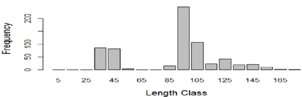 Gambar 1 Sebaran panjang ikan tuna yang tertangkap