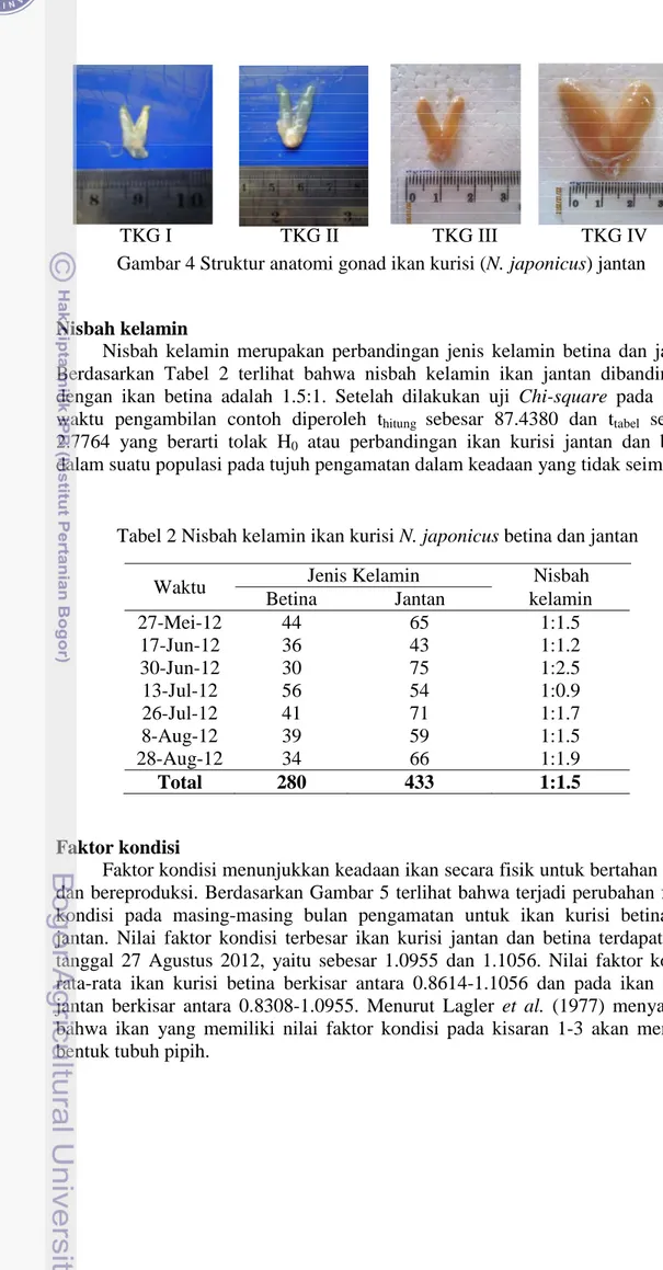 Tabel 2 Nisbah kelamin ikan kurisi N. japonicus betina dan jantan 