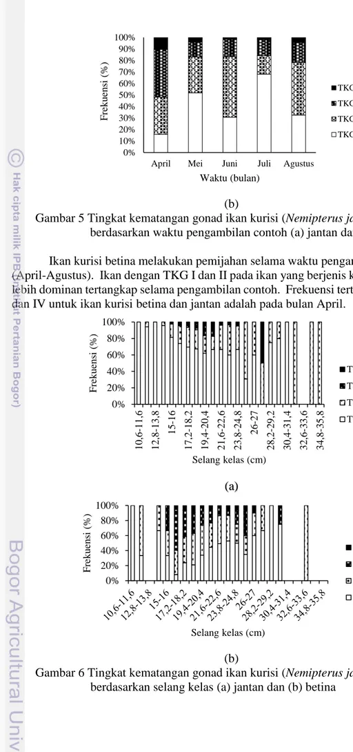 Gambar 5 Tingkat kematangan gonad ikan kurisi (Nemipterus japonicus)  berdasarkan waktu pengambilan contoh (a) jantan dan (b) betina  Ikan kurisi betina melakukan pemijahan selama waktu pengambilan contoh  (April-Agustus)