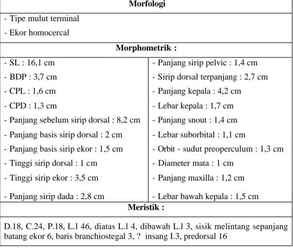 Tabel 1. Data morfologi dan morfometrik ikan lemuru  (Sardinella lemuru Blk.)    di perairan pantai timur Pulau Siberut