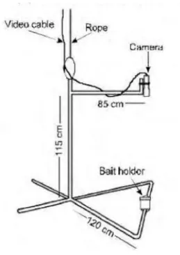 Gambar 8. VBUV (Langlois et al., 2006). 