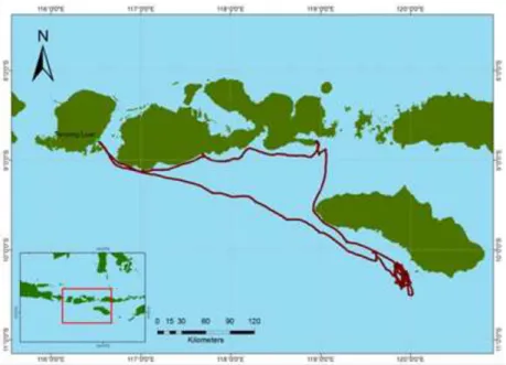 Gambar 1. Lokasi trip pelayaran kapal nelayan penangkap hiu dengan rawai permukaan. 