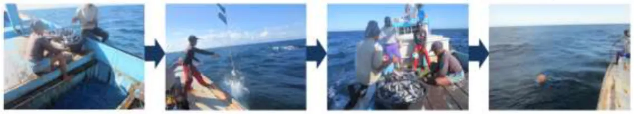 Gambar 5. Proses setting rawai permukaan dalam penangkapan hiu. 