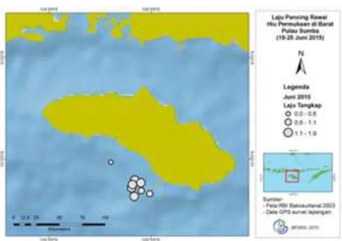 Gambar 8. Sebaran laju pancing rawai hiu permukaan di perairan barat Pulau Sumba  Besarnya  nilai  laju  pancing  dapat  merupakan  indikasi  tinggi  rendahnya  kelimpahan  ikan,  termasuk  hiu