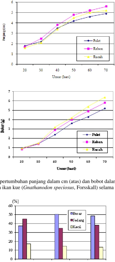 Gambar 1.  Pola pertumbuhan panjang dalam cm (atas) dan bobot dalam g (bawah)  benih ikan kue (Gnathanodon speciosus, Forsskall) selama penelitian