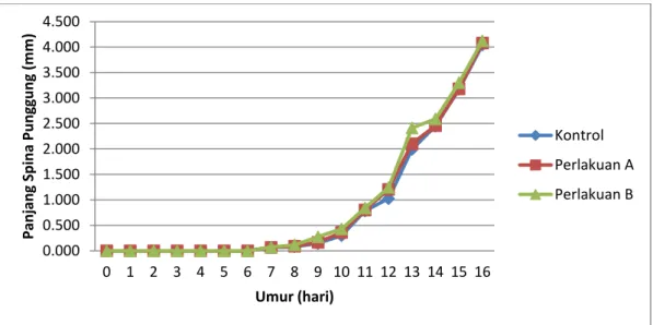 Gambar 12.  Pola Perkembangan Panjang Duri Punggung Larva Ikan Kerapu Bebek (C. altivelis)  Apabila  dibandingkan  dengan  umur-umur  sebelumnya,  perkembangan  duri  punggung  pada  Kontrol,  perlakuan  A  dan  perlakuan  B  sudah  lebih  cepat  daripada 