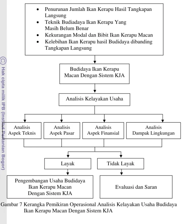 Gambar 7 Kerangka Pemikiran Operasional Analisis Kelayakan Usaha Budidaya  Ikan Kerapu Macan Dengan Sistem KJA 