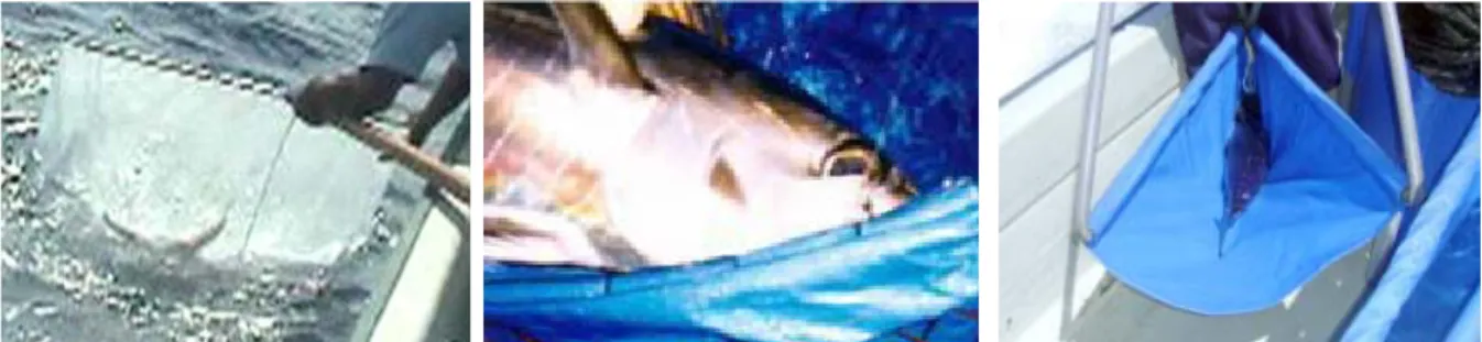 Gambar 1. Alat pengangkat ikan tuna sirip kuning (Thunnus albacares) dari permukaan laut ke dalam bak penampungan di atas boat : serok jaring (kiri); serok jaring berlapis plastik terpal (tengah); dan seser terpal berlapis karet (kanvas) atau kulit sinteti