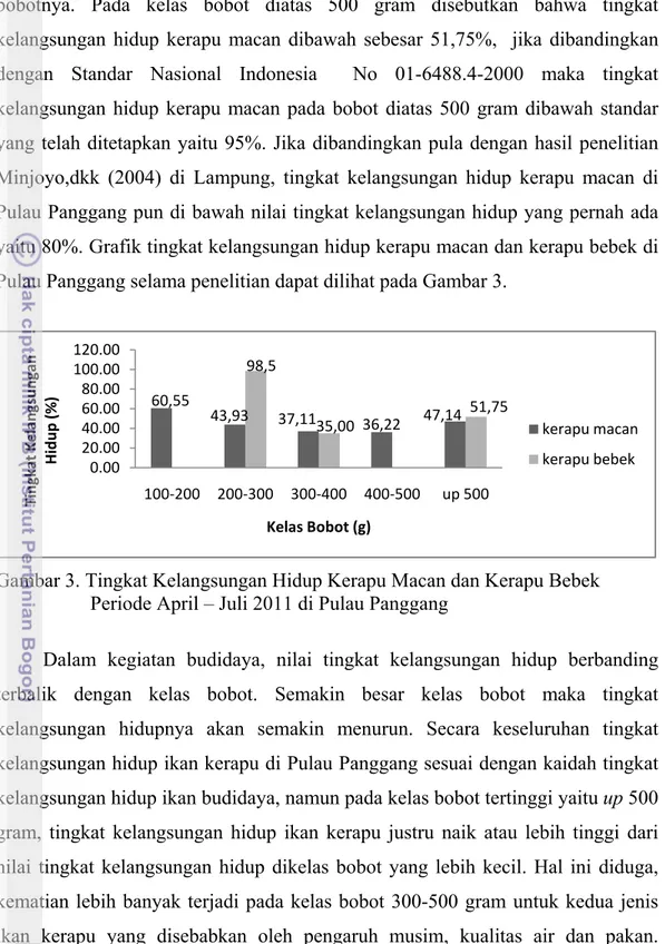 Gambar 3. Tingkat Kelangsungan Hidup Kerapu Macan dan Kerapu Bebek   Periode April – Juli 2011 di Pulau Panggang 