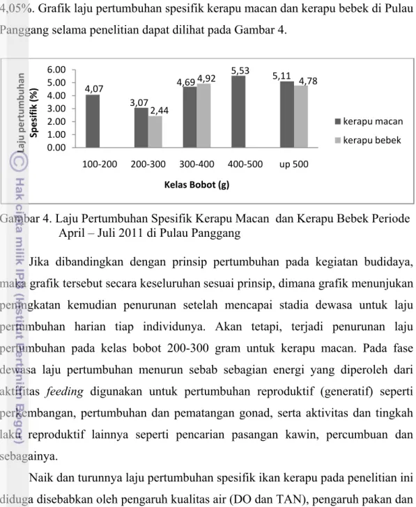 Gambar 4. Laju Pertumbuhan Spesifik Kerapu Macan  dan Kerapu Bebek Periode  April – Juli 2011 di Pulau Panggang 