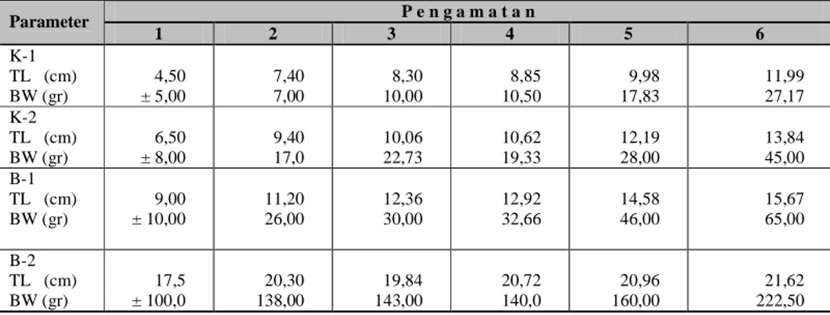 Tabel 1.  Pertumbuhan (panjang dan bobot tubuh) benih kerapu bebek, Cromileptes altivelis  yang dipelihara di KJA di  Teluk Ekas  P e n g a m a t a n  Parameter  1  2  3  4  5  6  K-1  TL   (cm)  BW (gr)  4,50 ± 5,00  7,40 7,00  8,30  10,00  8,85 10,50  9,