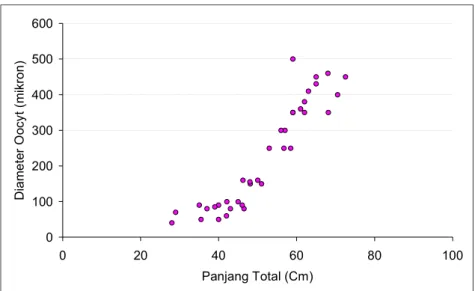 Gambar  6. Grafik  hubungan  panjang  total  dengan  diameter  oosit ikan raja sunu (Plectropoma laevis)