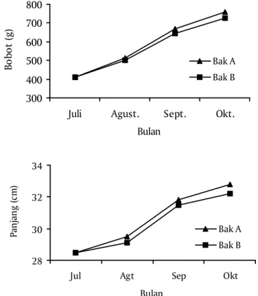 Gambar 1. Hasil pengamatan pertumbuhan bobot (atas) dan panjang (bawah) ikan kerapu bebek turunan ke-2 (F-2) selama pemeliharaan dengan pemberian pakan yang berbeda (Bak A dan B)