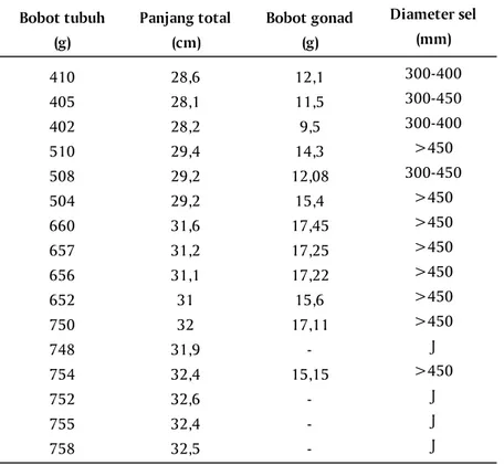 Tabel 1. Pengamatan perkembangan gonad dan diameter sel telur dari hasil pembedahan ikan kerapu bebek turunan ke-2 (F-2)